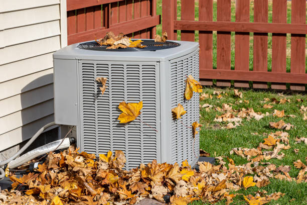 Best HVAC maintenance near me  in Mundelein, IL